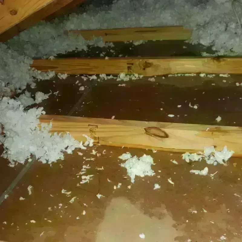 Attic Water Damage in Schleicher County, TX